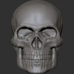 Skull head for action figures