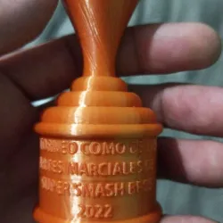 Super Smash Bros Trophy