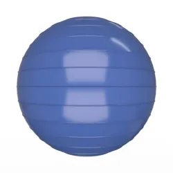 Swiss Ball