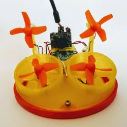 Tiny Transformer: Tiny Whoov