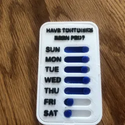 Tortoise Feed Task Reminder