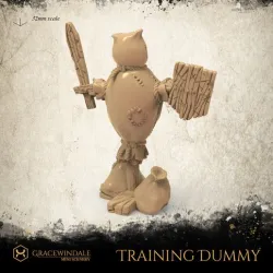 Training Dummy
