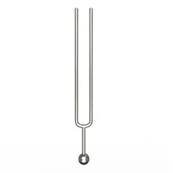 Tuning Fork
