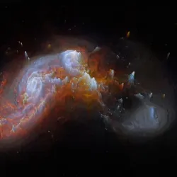 ZW II 96 3D software analysis
