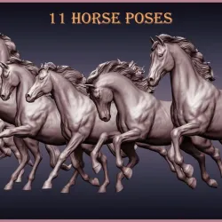11 horse poses