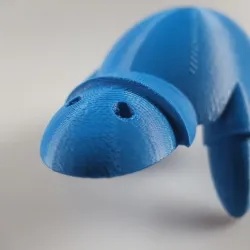 ...armadillo...