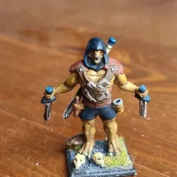 Barbarian Rogue Dragonborn