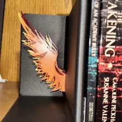 Book ends with back for display