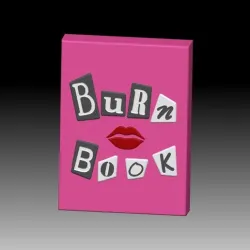 BURN BOOK SOLID SHAMPOO AND MOLD FOR SOAP PUMP