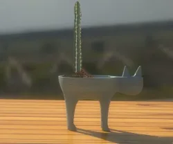 cat pot
