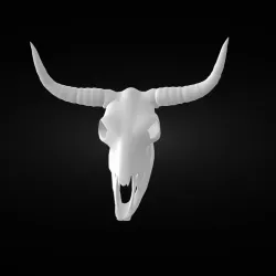 Cow Skull