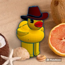 Cowboy Duck Crocs Pin