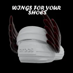 CROCS overlays