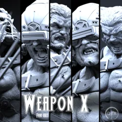 DEX weapon X
