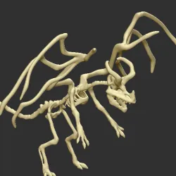 DRAGON SKELETON