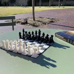 Easy Print Chess Set