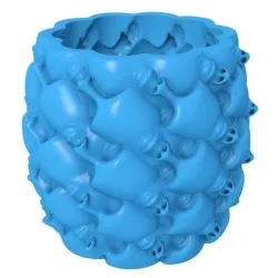 Face Vase