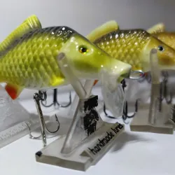 fishing lure type CARP