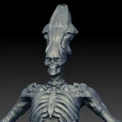Funny Skeleton