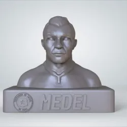 Gary Medel