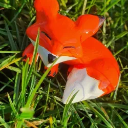 happy fox CUTE