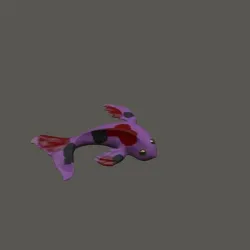 Koi fish