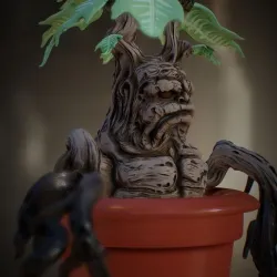 Mandrake - Mandragora - Harry Potter