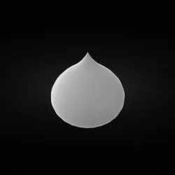 Onion