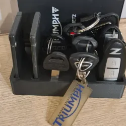 Organizer for car keys, motorcycle keys, registration cards