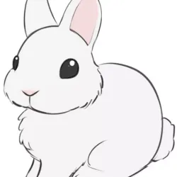 RABBIT COOKIE CUTTER