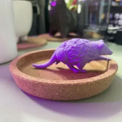 running opossum