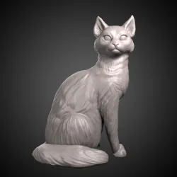 Sitting cat 2