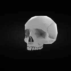 Skull