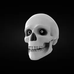 Skull