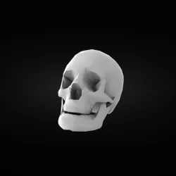 Skull