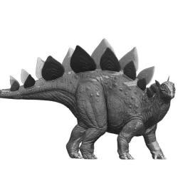 Stegosaurus