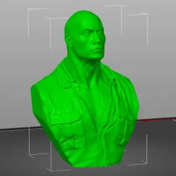 The Rock
