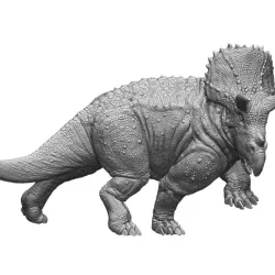 Triceratops