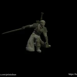 Witcher/Swordsman