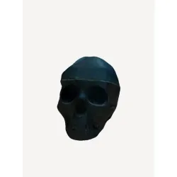 3D Scan Skull