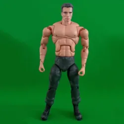 Arnold Action figure