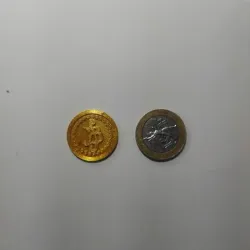 Berry" one-piece shopping cart token
