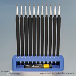 Brush organizer