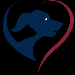 cat and dog wall art