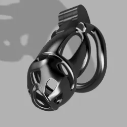 Chastity cage