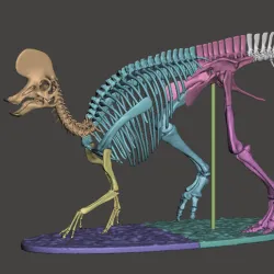 Dinosaur Lambeosaurus easy print skeleton