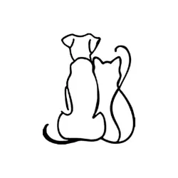 Dog and Cat