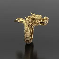 Dragon Chaina Ring STL 5$