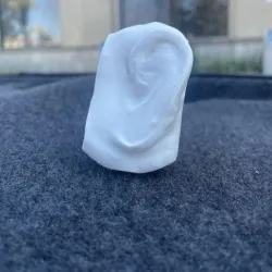 Ear model