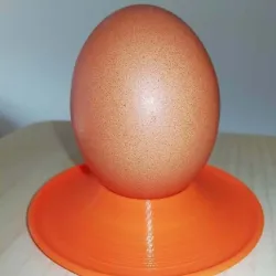 egg cup